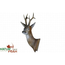 Natur Foam ROEDEER - HEAD